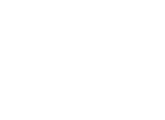 Big crow logo